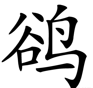 鹆